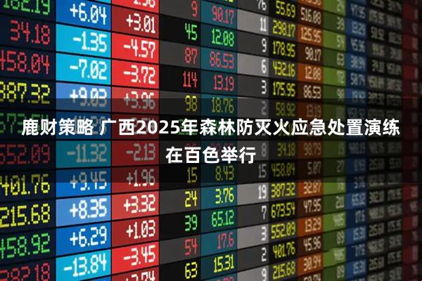 鹿财策略 广西2025年森林防灭火应急处置演练在百色举行