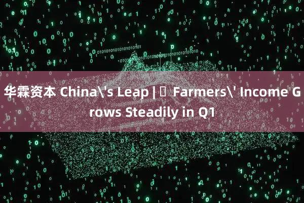 华霖资本 China's Leap | ​Farmers' Income Grows Steadily in Q1